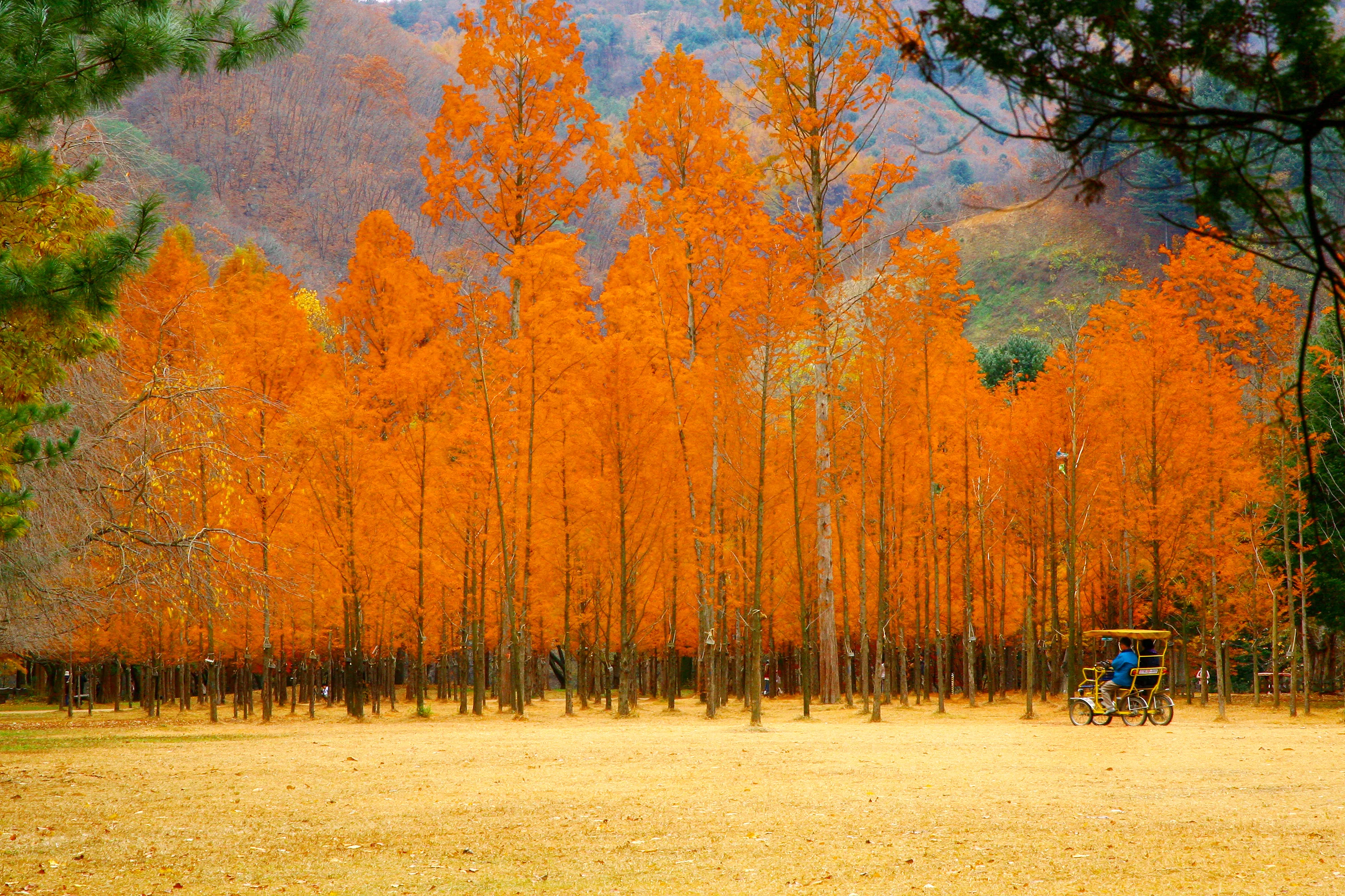 暢遊韓劇取景地