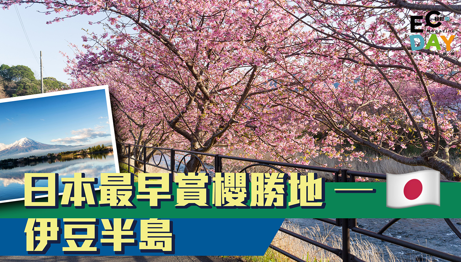【日本】2020東京近郊必去勝地──伊豆半島