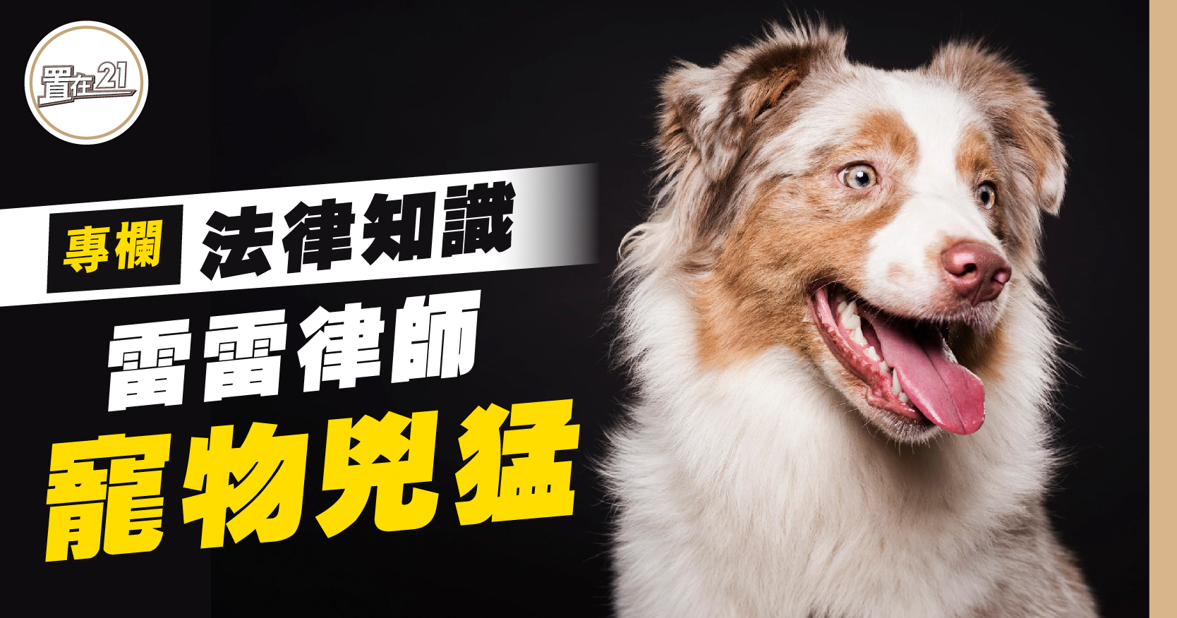 法律專欄：寵物兇猛