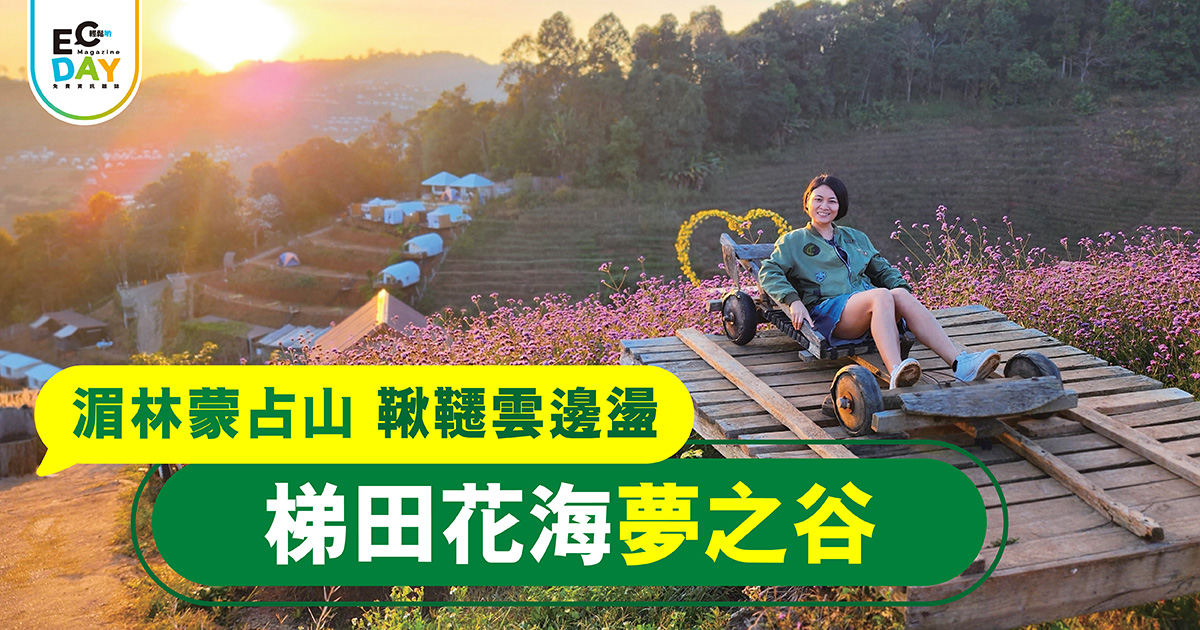 湄林蒙占山 鞦韆雲邊盪<br>梯田花海夢之谷