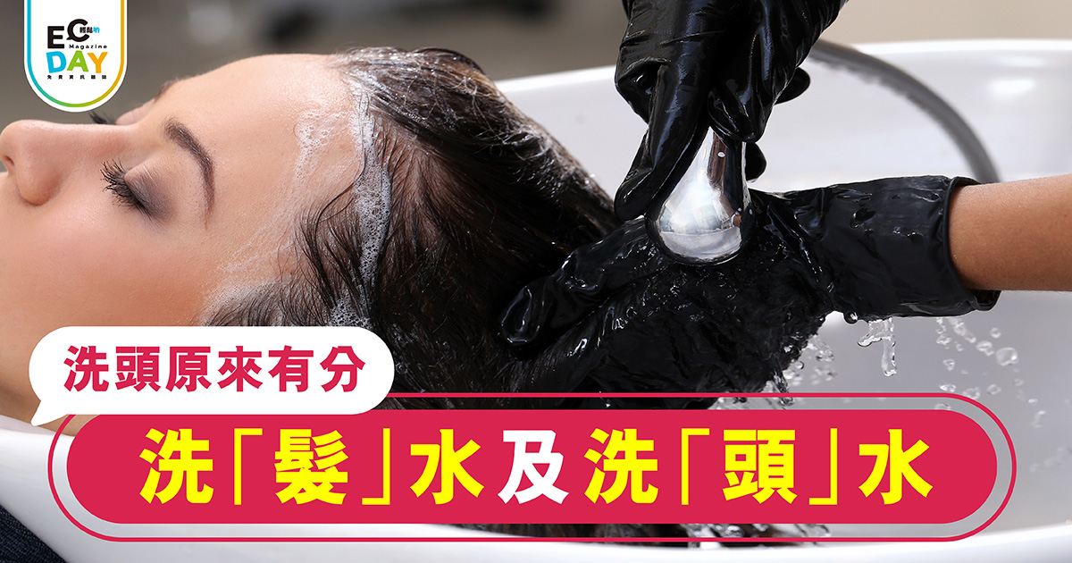 洗頭原來有分洗「髮」水及洗「頭」水