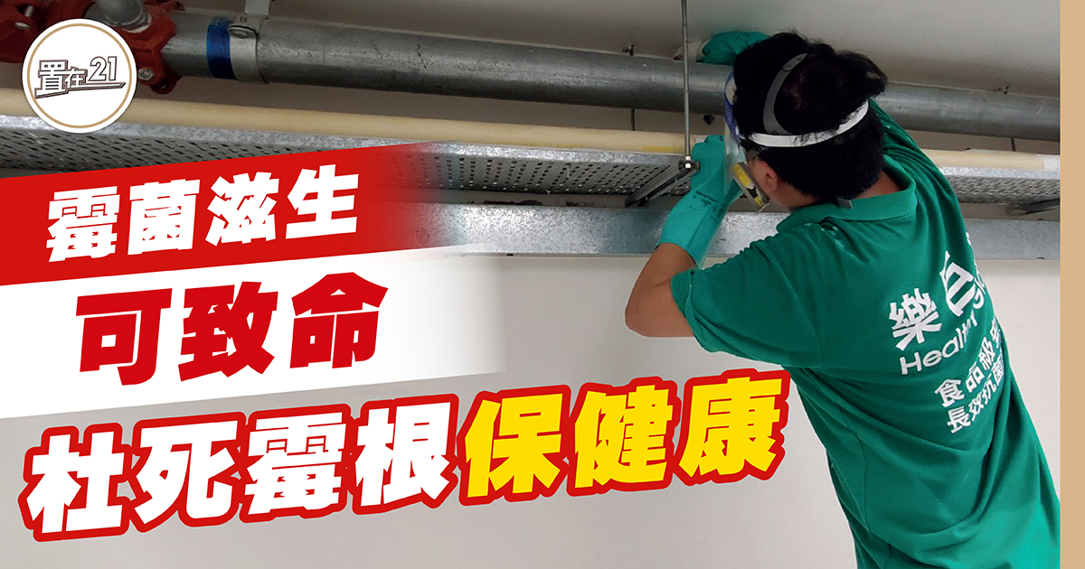霉菌滋生可致命 杜死霉根保健康