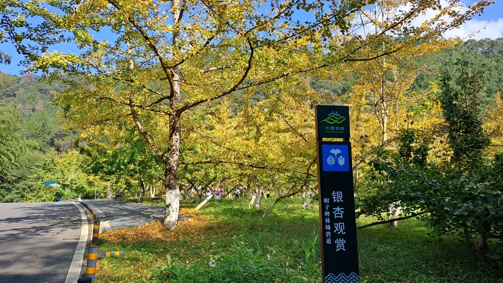 韶關5星風光3天純玩團￼