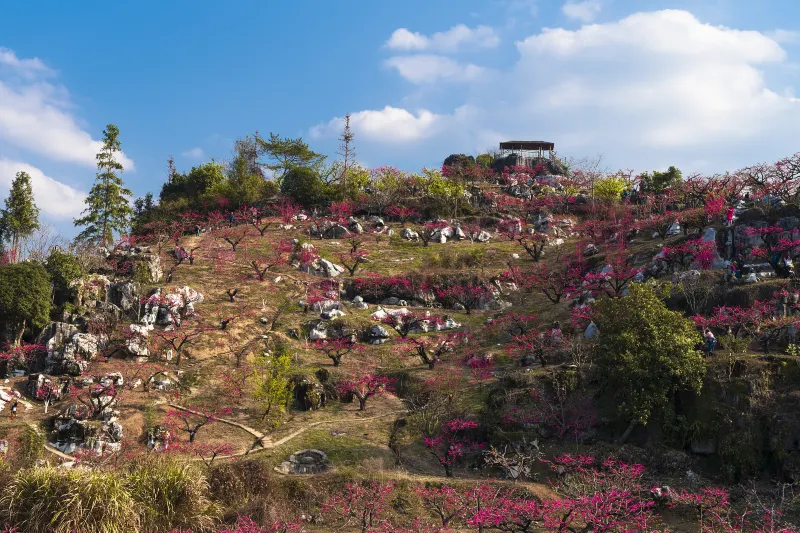 【星光之旅】粵贛兩省·三生三世十里桃花·純玩三天￼