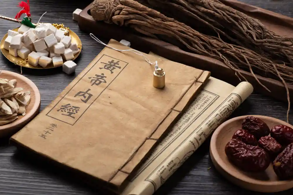 五行與健康的關係￼